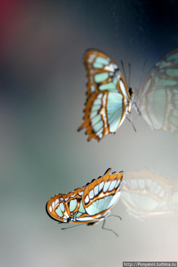 Альгамбра на берегу Неккара Штутгарт, Германия