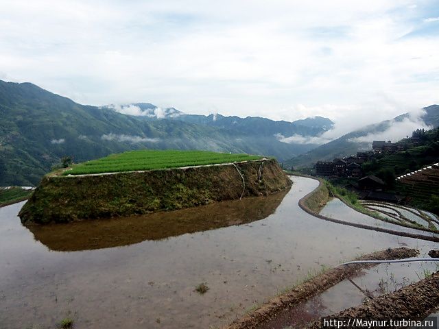 Но нам повезло со временем года — урожай убран и только  ленты воды красиво блестели в лучах периодически появлявшегося солнца.