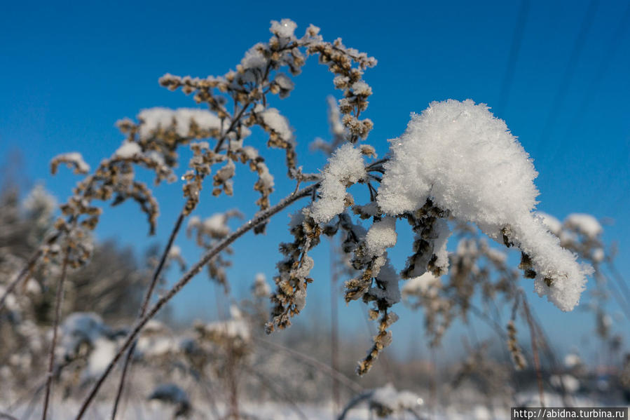 Там, где я теперь живу Россия