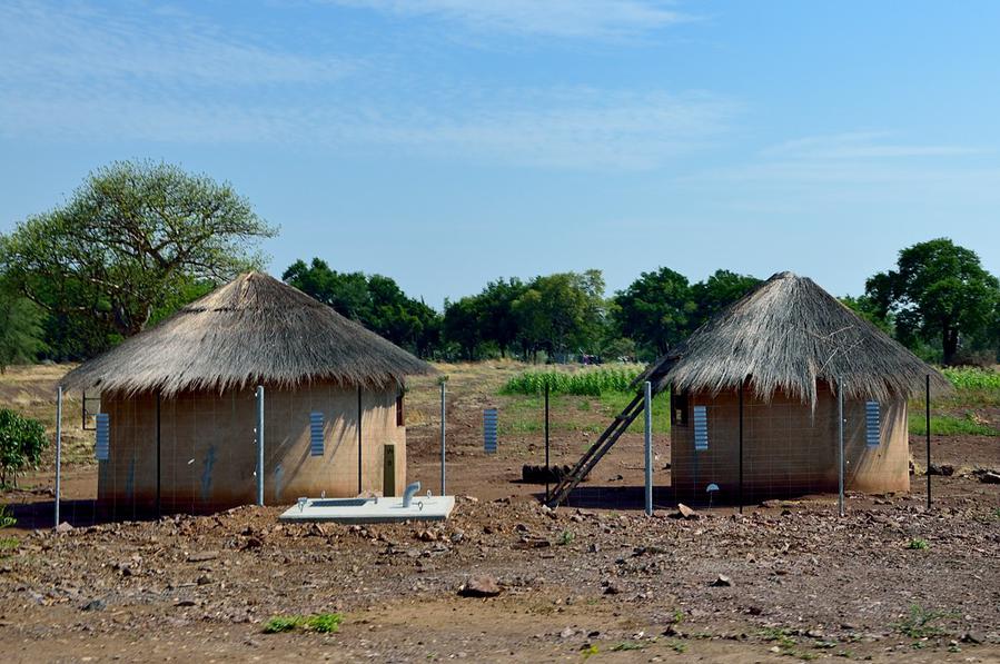 Местные домики Национальный парк Чобе, Ботсвана