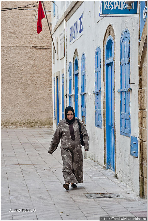 Хвостатые в лабиринтах медины (Марокканский Вояж ч16) Эссуэйра, Марокко