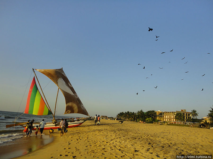 Берег индийского океана