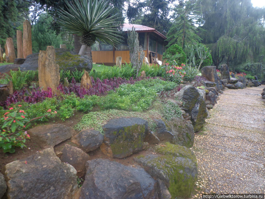 Осмотр Ботанического сада: середина Пьин-У-Львин, Мьянма
