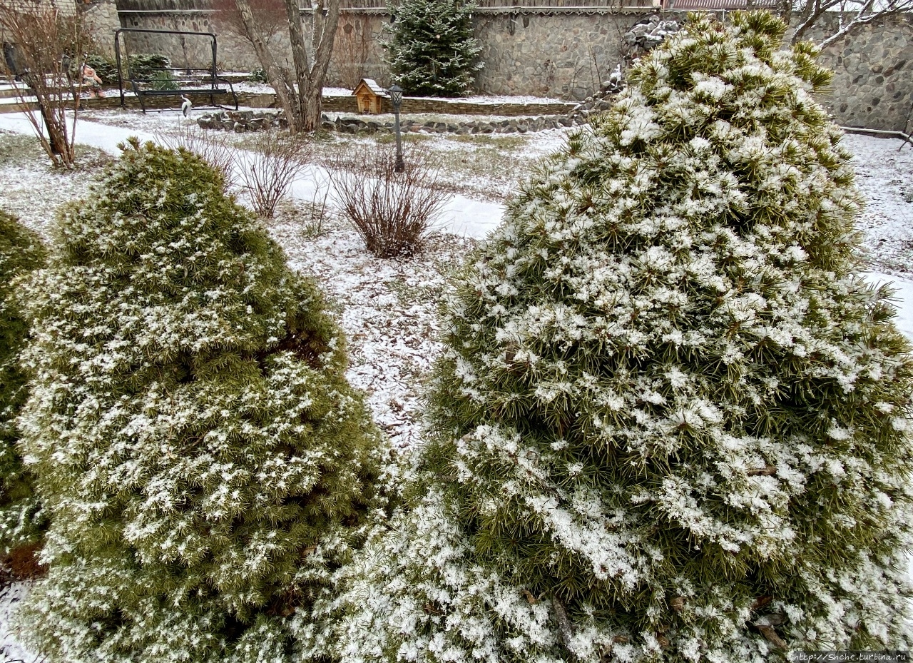 25 января — первый день зимы)) Рогань, Украина