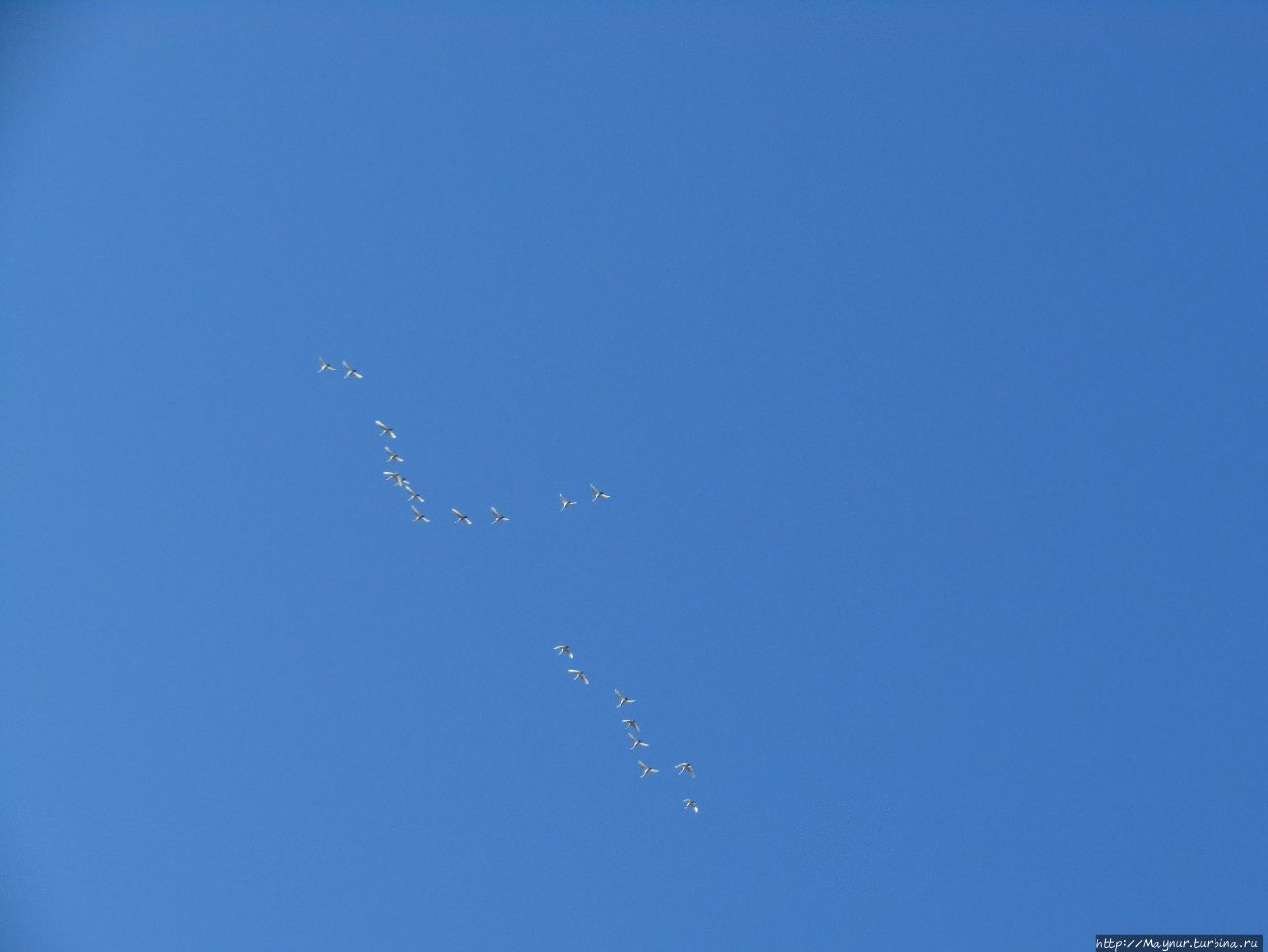 Осенние этюды Долинск, Россия Осенние этюды Долинск, Россия