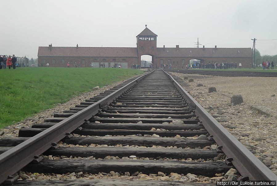 Главные ворота лагеря Биркенау (Аушвиц 2) — когда говорят про Освенцим как о лагере для уничтожения людей, имеют в виду именно Аушвиц-Биркенау. По этой дороге прибывали эшелоны с людьми, селекция проводилась сразу же: работы, эксперименты, умерщвление Освенцим, Польша