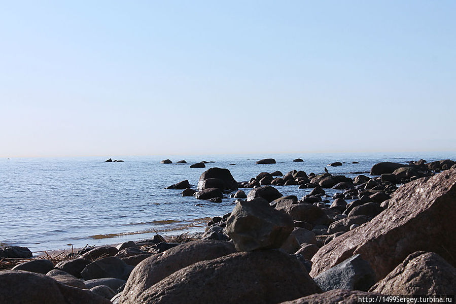 Синяя птица счастья