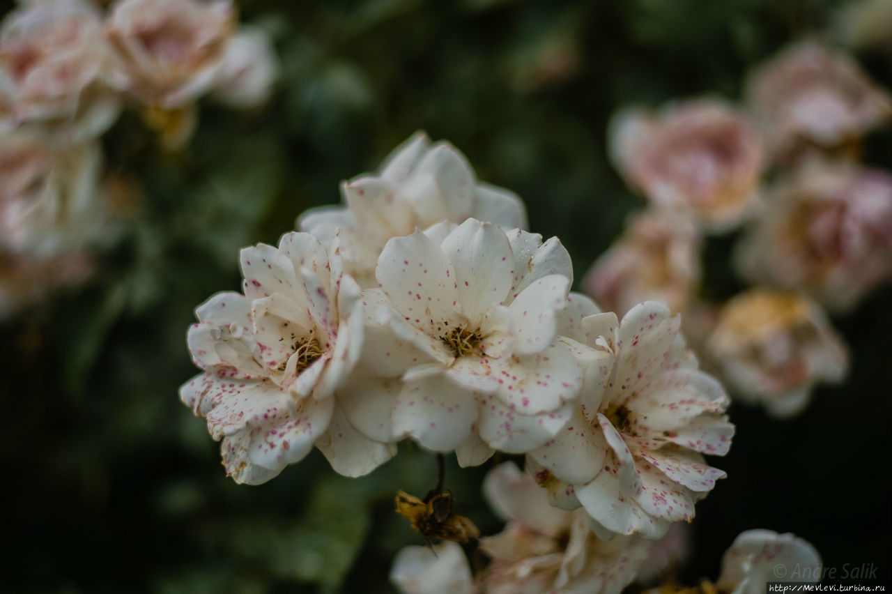 Вечерний Милан. Мегаполис Милан, Италия