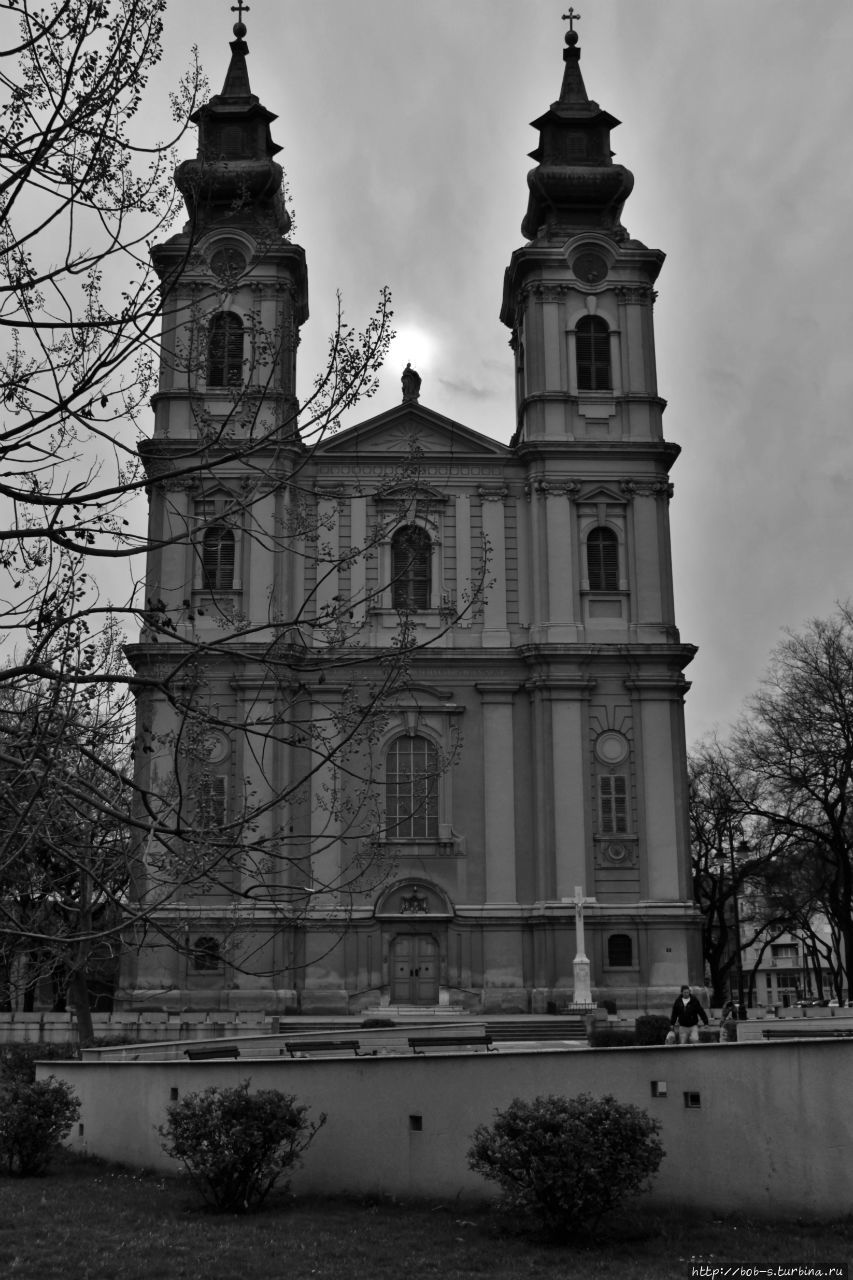 Суботица. Город велосипедистов Суботица, Сербия