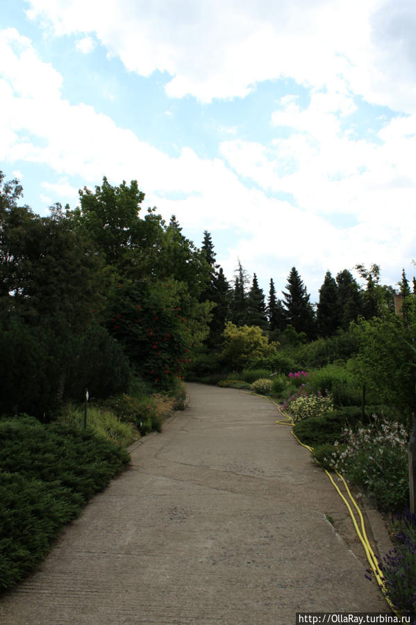 Пражский ботанический сад Прага, Чехия