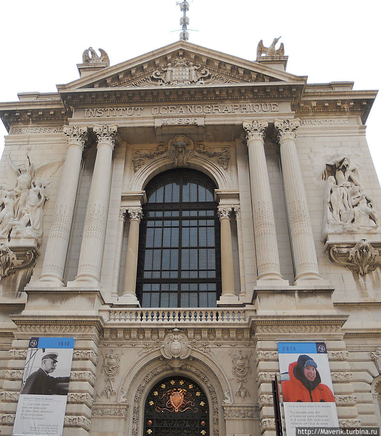 В Океанографическом музее находится большая коллекция разнообразных видов морских обитателей. Здесь имеются аквариумы-гроты, которые находятся в углублениях скалы.Там обитают осьминоги, крабы, морские ежи, мурены, морские звёзды и разнообразный планктон. Также здесь представлена большая коллекция аппаратов и навигационных приборов для исследования морских глубин.