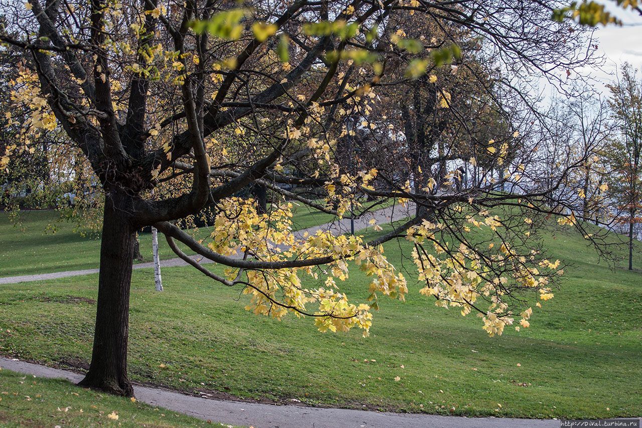 Прага. Ноябрь-2017. Альбом Прага, Чехия