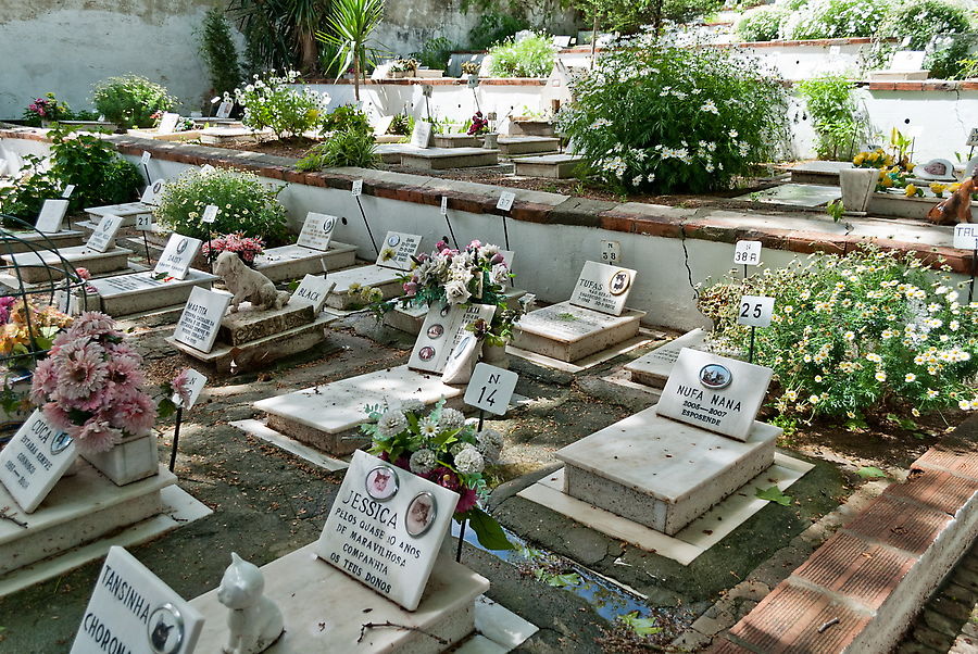 Кладбище домашних животных. Лиссабон, Португалия