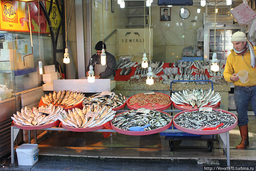 Свежая рыба. Стамбул, Турция