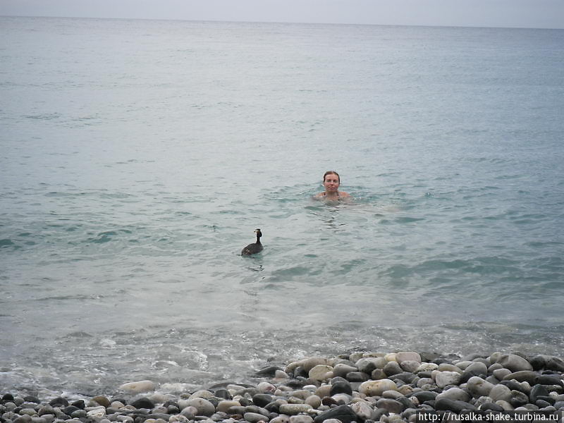 Биде  и др. на пляже в Гаграх Гагра, Абхазия