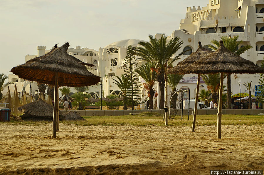 И каждый год жасмин парит в минувшем и грядущем лете Хаммамет, Тунис