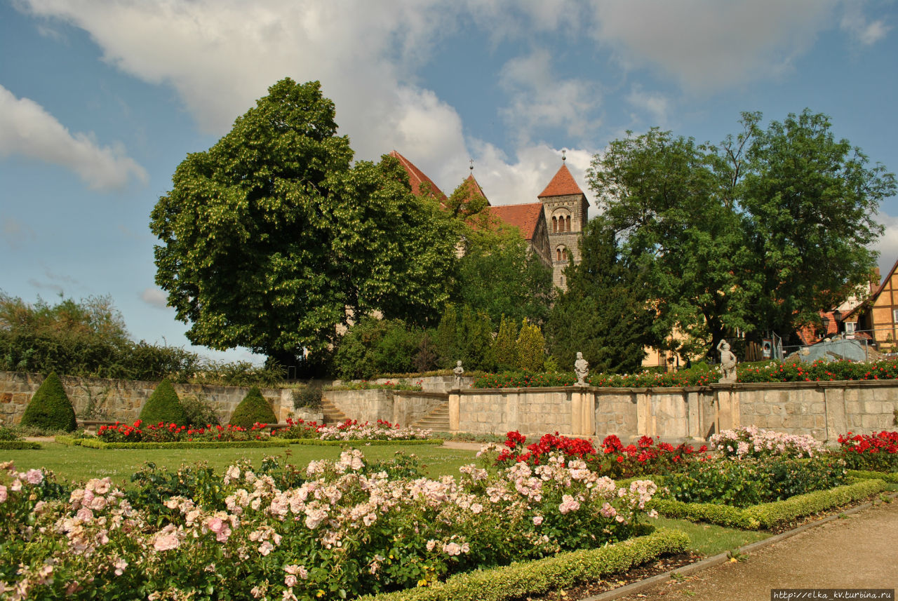 Розовый сад на горе у аббатства Кведлинбург, Германия