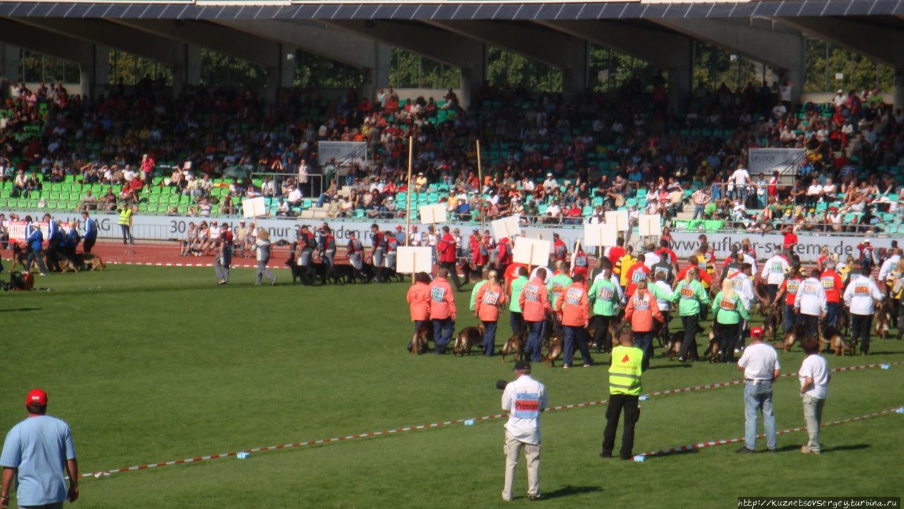 Зигер в Ульме Ульм, Германия Зигер в Ульме Ульм, Германия