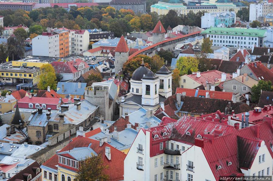 Оглянемся разок влево, тут можно увидеть еще одно популярное туристическое место — обзорную площадку на городской стене. Таллин, Эстония