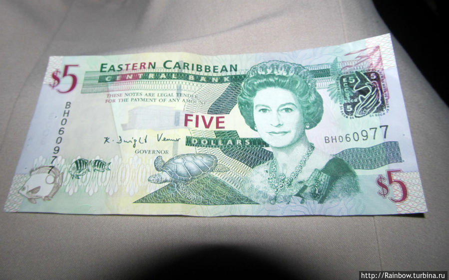 Когда судьба улыбается