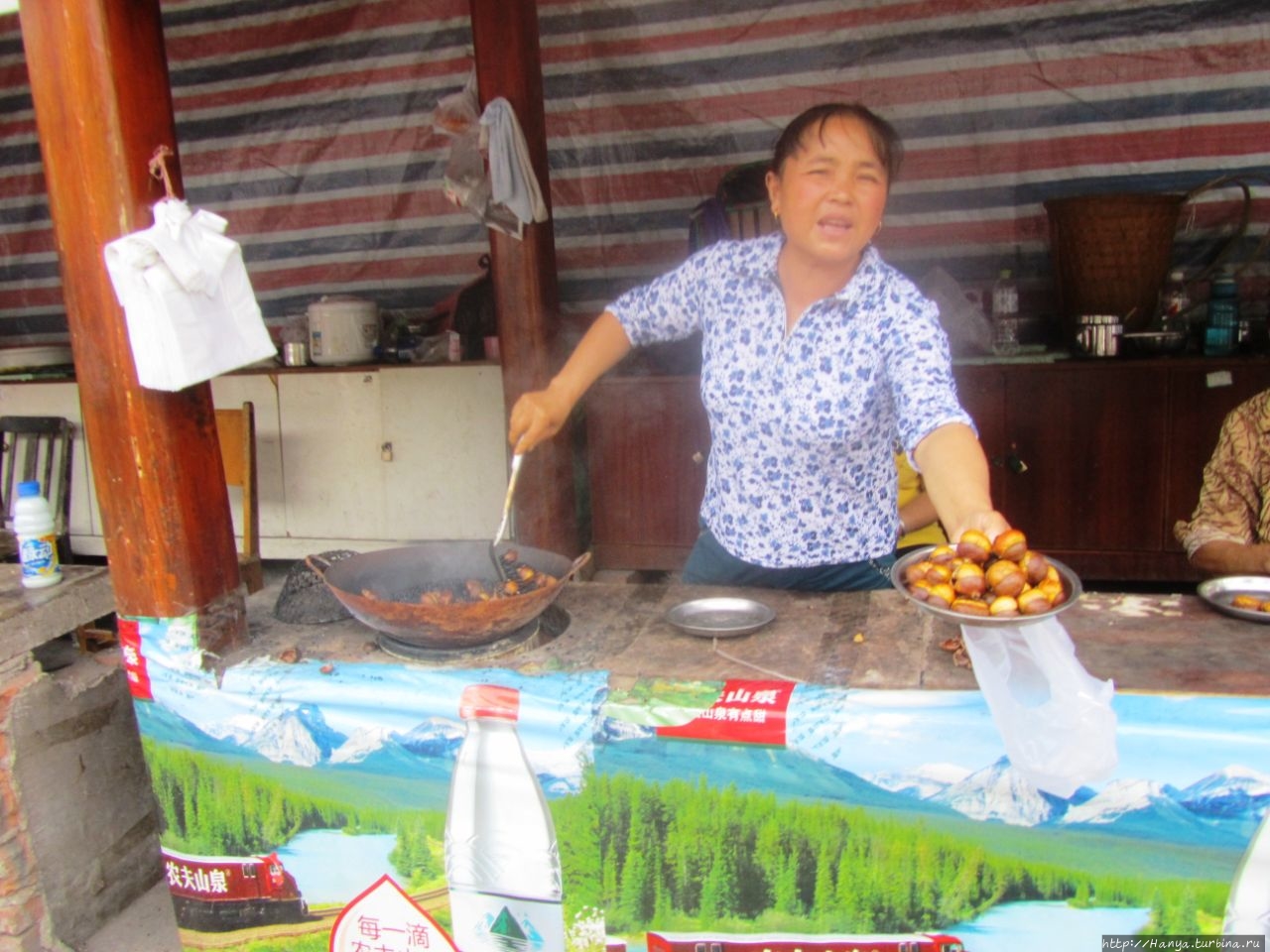 Фуникулер Tianzi Mountain Чжанцзяцзе Национальный Лесной Парк (Парк Аватар), Китай