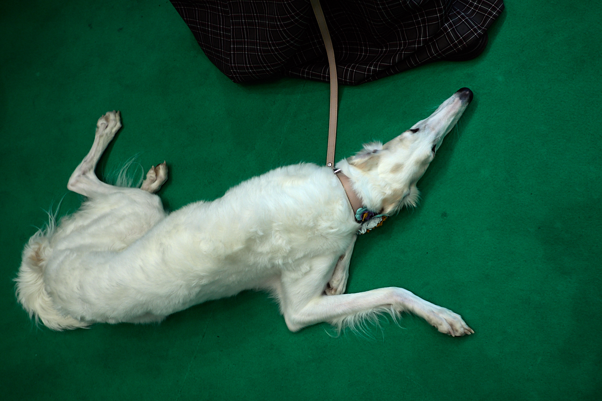 Фабрика иллюзий Москва, Россия