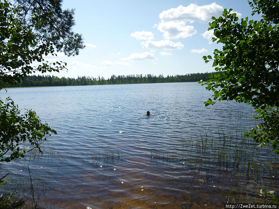 озеро Желанное рядом с лощиной Смерти Санкт-Петербург и Ленинградская область, Россия