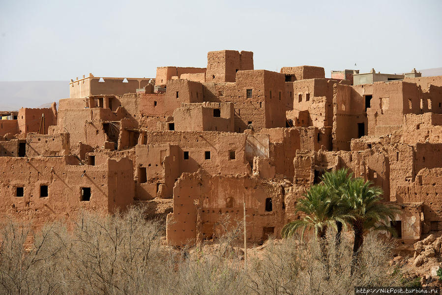 Марокко — информационный тур Марокко