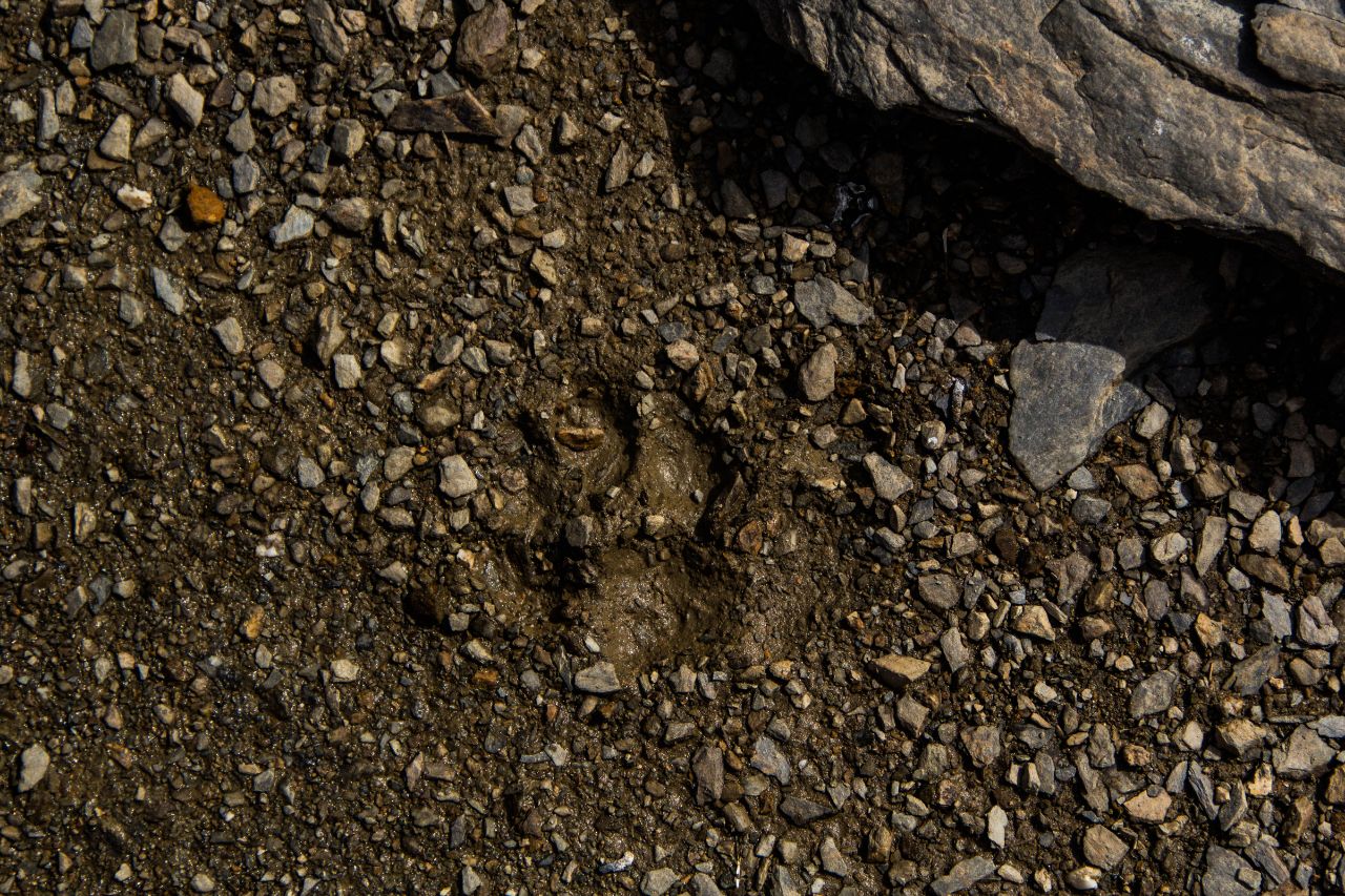 Озеро в горах Сасаши, Грузия