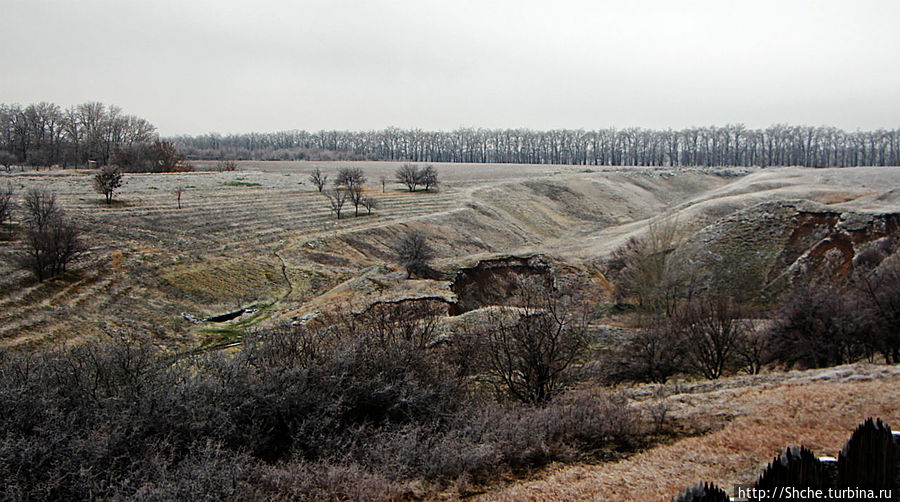 Времена года, или эксперимент, длинною в год Рогань, Украина