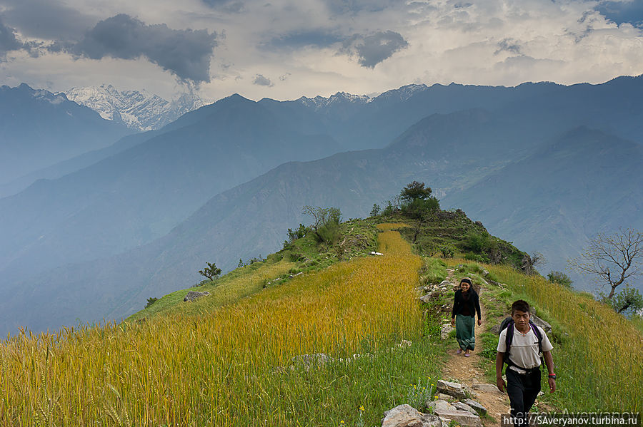 Поля в окрестностях Кхола Бенши Непал
