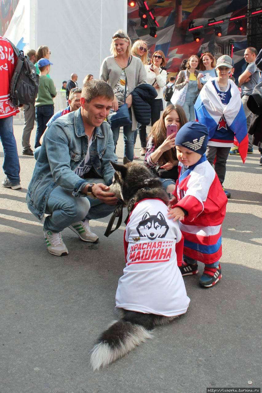 Конюшенная площадь 2016 Санкт-Петербург, Россия