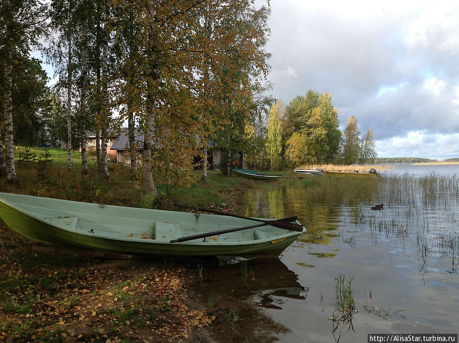 озеро Пурувеси на ферме Нааранлахти Пункахарью, Финляндия