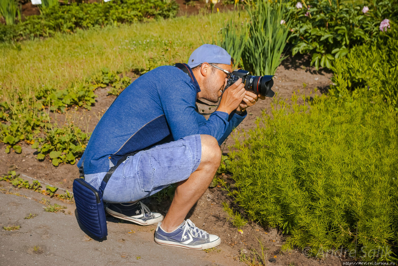 Ботанический сад в июне Рига, Латвия