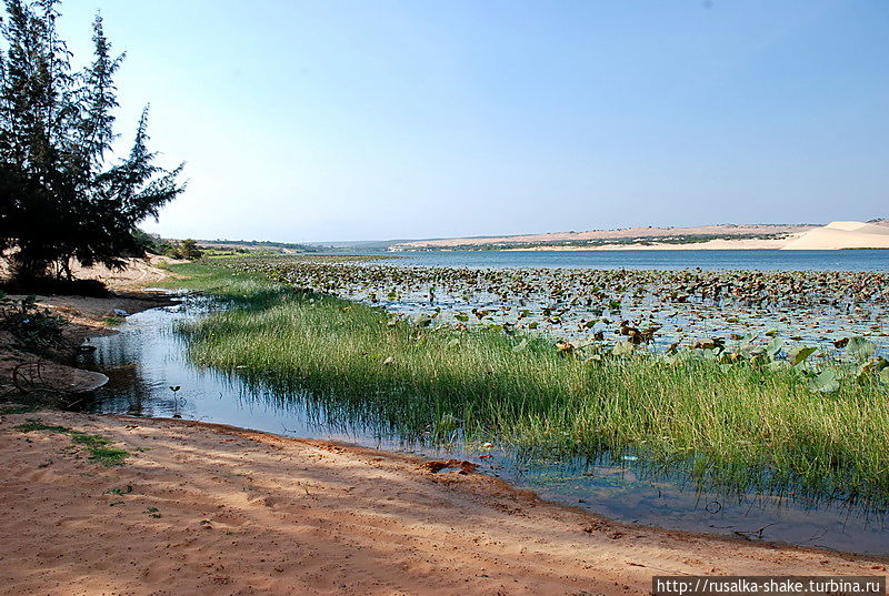 Озеро Лотосов без лотосов Муй-Не, Вьетнам