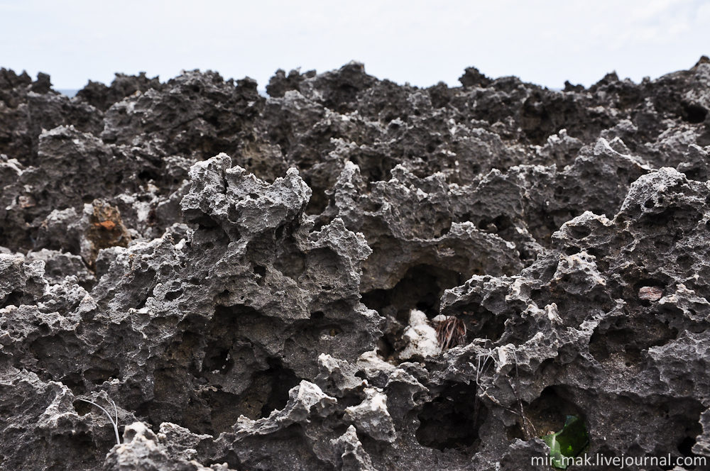 Веками волны разбиваясь о скалы, превратили их в пористые остроконечные каменные осколки. Бали, Индонезия