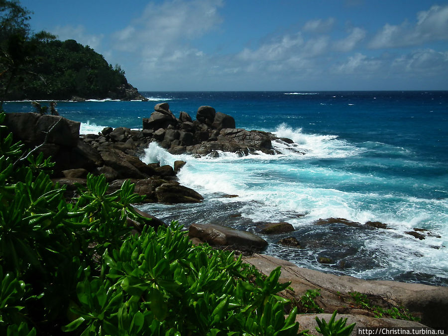 Залив Полис Остров Маэ, Сейшельские острова