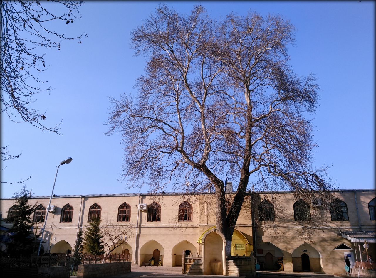 Кавказский старожил или самый южный город России Дербент, Россия