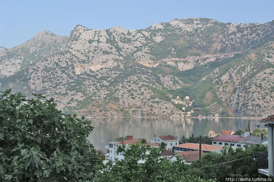 Черногория, Рисан: из жизни отдыхающих Рисан, Черногория