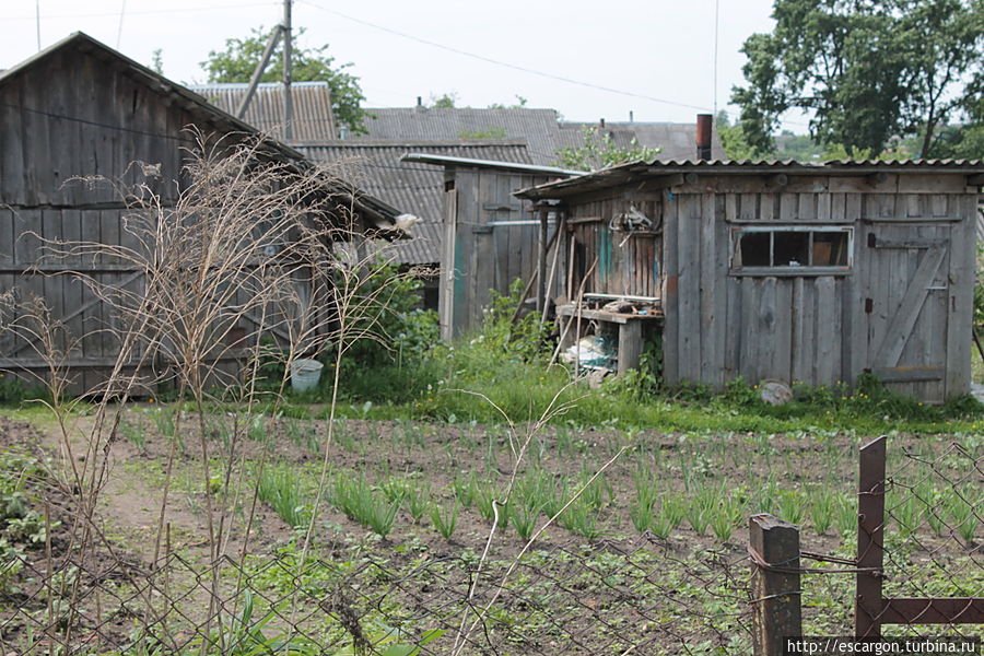 Другим же явно не хватает время на украшения своего жилища...