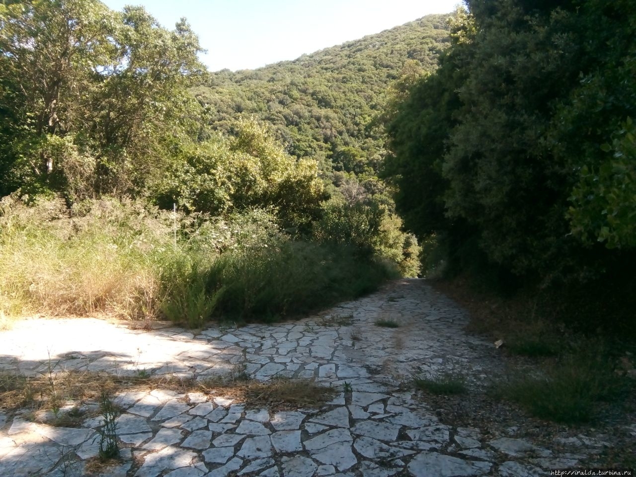 Начало пути