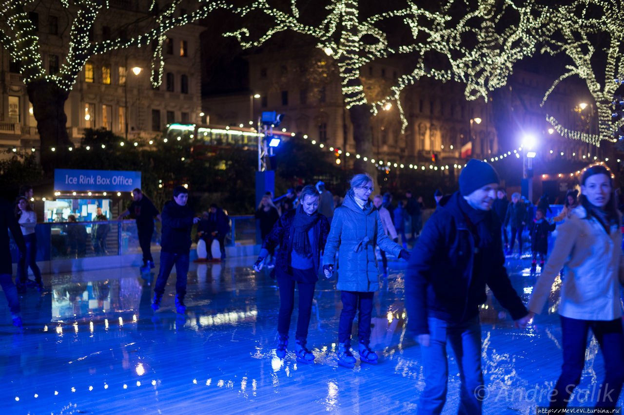 Natural History Museum Ice Rink