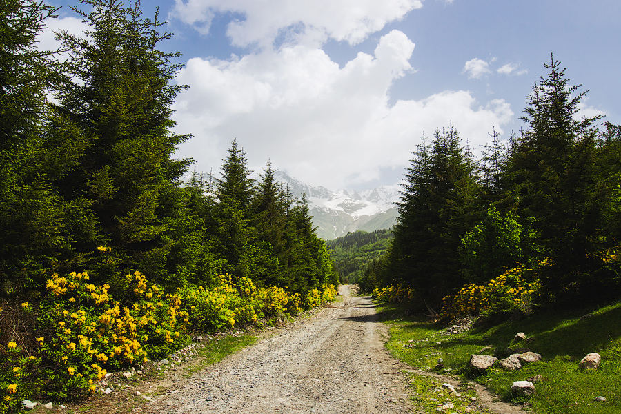 Попрощались с Шариком, и двинулись в путь. Задачей на этот день было подняться на перевал и спуститься в следующую долину, где и остаться на ночевку.