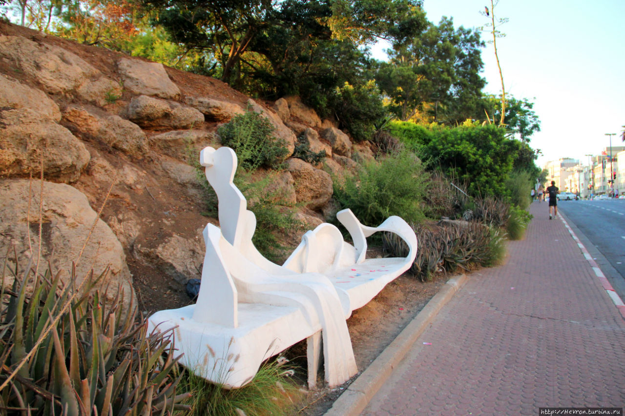 Сумасшедший дом / The Crazy House