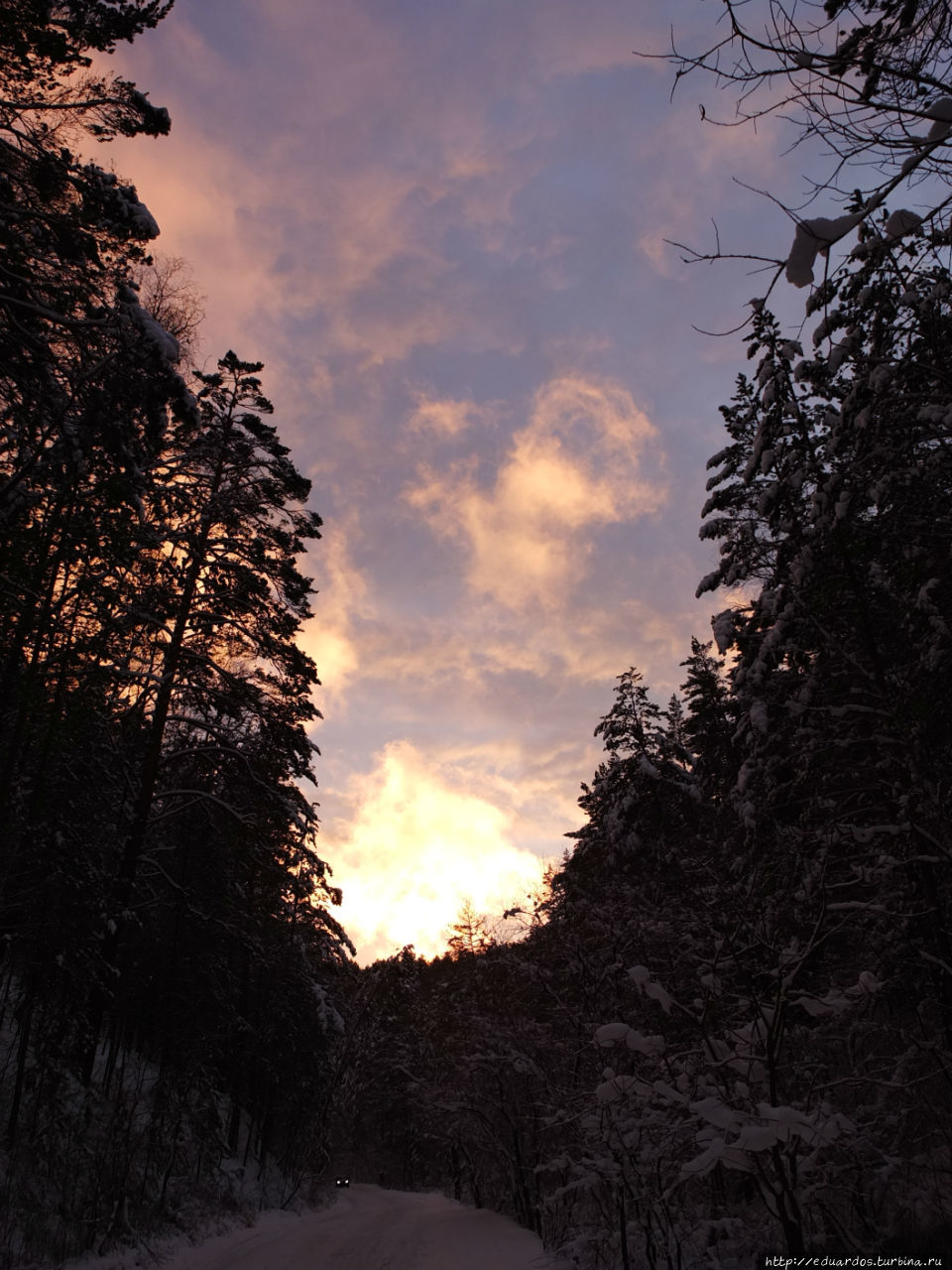 Закат в зимнем лесу Красноярск, Россия
