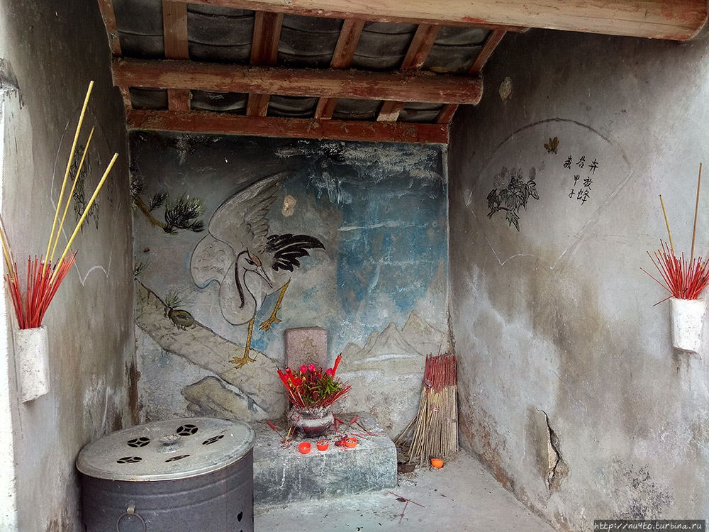 Боги-бомжи, дзен-остановка, растения-захватчики. Провинция Гуандун, Китай