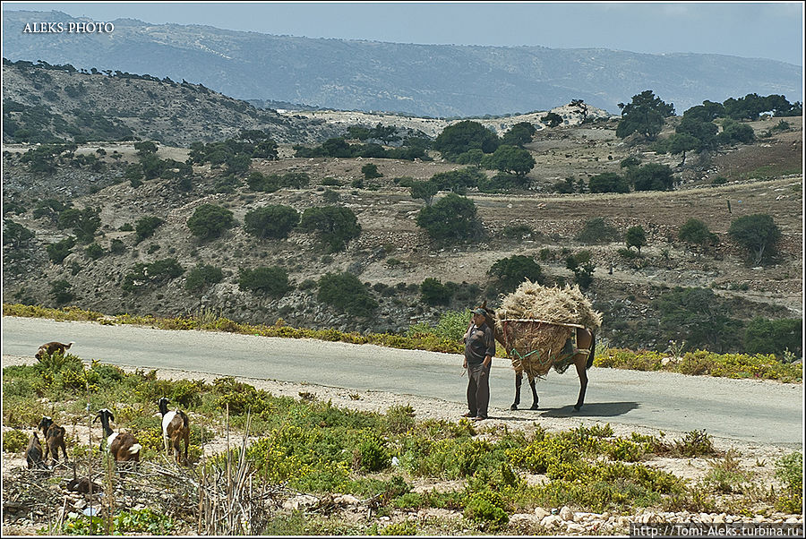 Неспешная жизнь местных жителей...
*