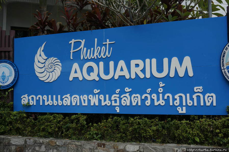 Океанариум Пхукета достоин похвалы Пхукет, Таиланд
