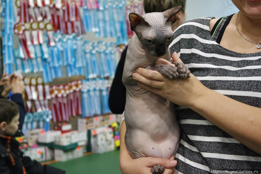 Самые  любимые... Южно-Сахалинск, Россия