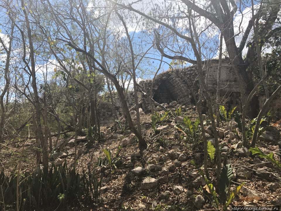 Из интернета